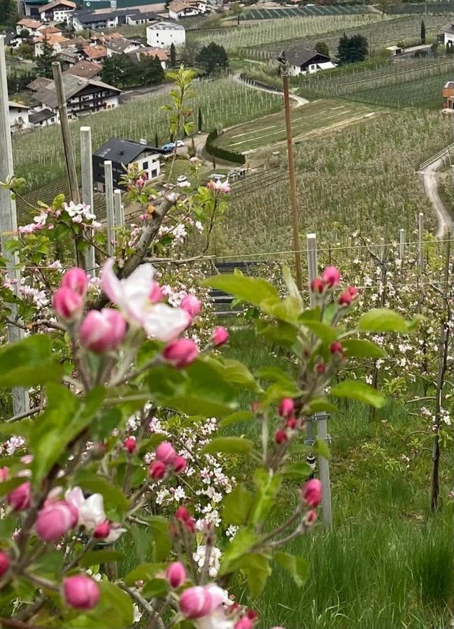 Ferienwohnung Weingut Bachgütl Tscherms Exterior foto